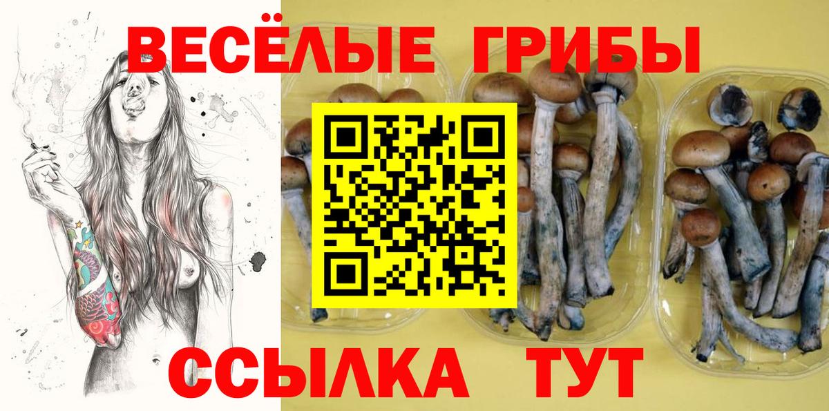 Псилоцибиновые грибы ЛСД  Вход с VPN  продажа наркотиков  Нижний Тагил  Галлюциногенные грибы мицелий 